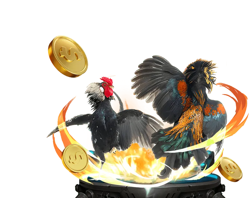 Giải thích tỷ lệ kèo nhà cái 5